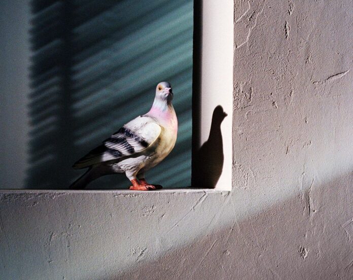 Londýn čeká nová výstava návrháře JW Andersona, Paříž se ponoří do světa designu a Gabriela Hearst zveřejnila své první parfémy. Londýn čeká nová výstava návrháře JW Andersona, Paříž se ponoří do světa designu a Gabriela Hearst zveřejnila své první parfémy.