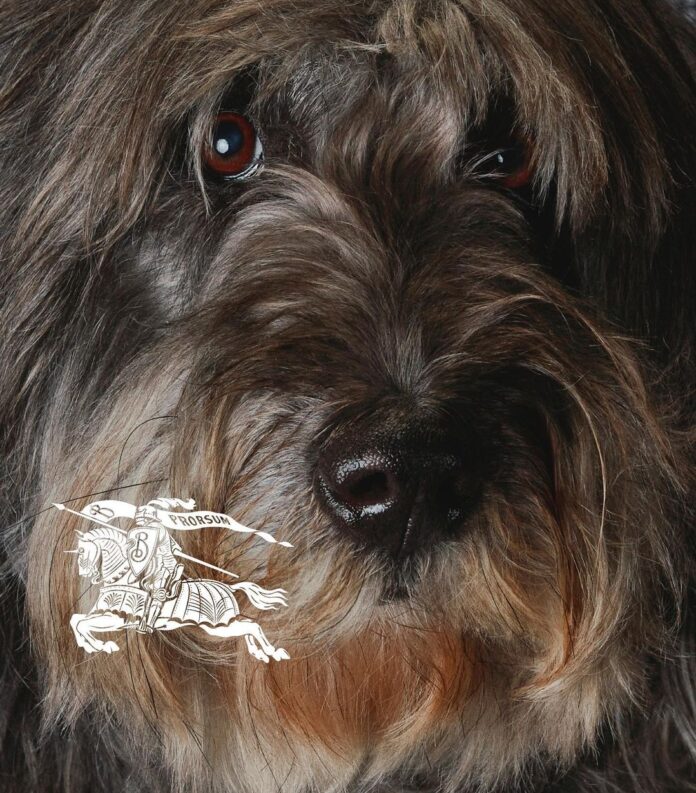 Návrhář Daniel Lee vytvořil pro Burberry svou první sváteční kolekci plnou roztomilých zvířátek i britských symbolů. Návrhář Daniel Lee vytvořil pro Burberry svou první sváteční kolekci plnou roztomilých zvířátek i britských symbolů.