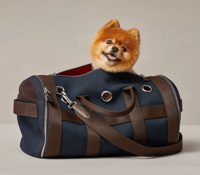 Na domácí mazlíčky myslí i módní dům Hermès.