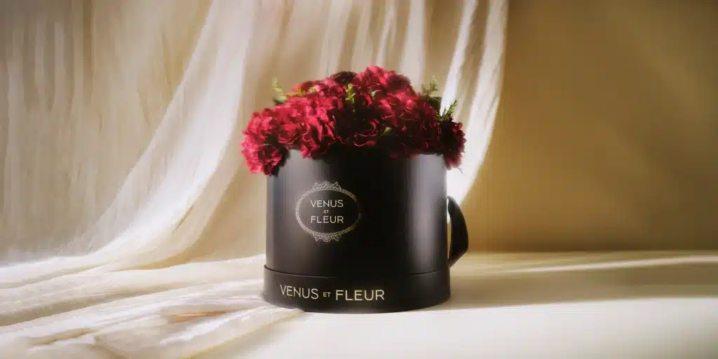 Venus et Fleur růže