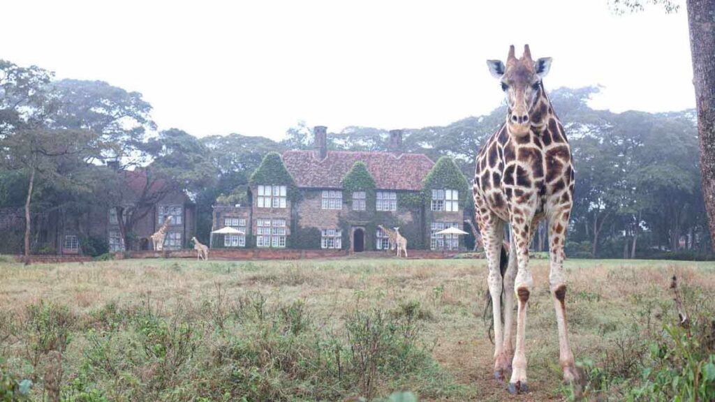 Giraffe Manor žirafy budova