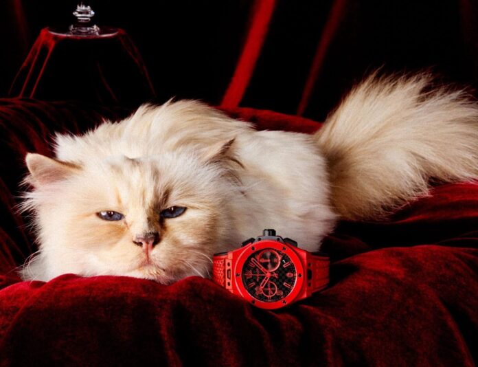 Choupette Hublot