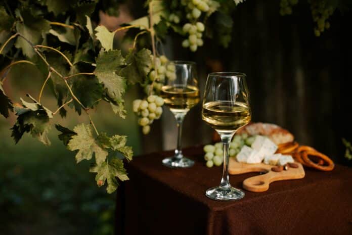 víno podzim víno podzim