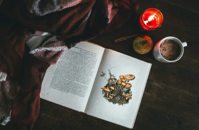 mushroom coffee mushroom coffee