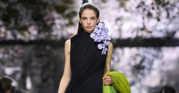 Dior haute couture SS26 Dior haute couture SS26
