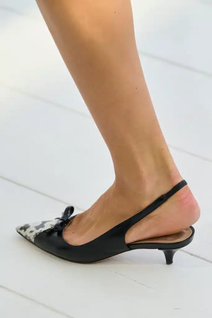 Dior SS 27